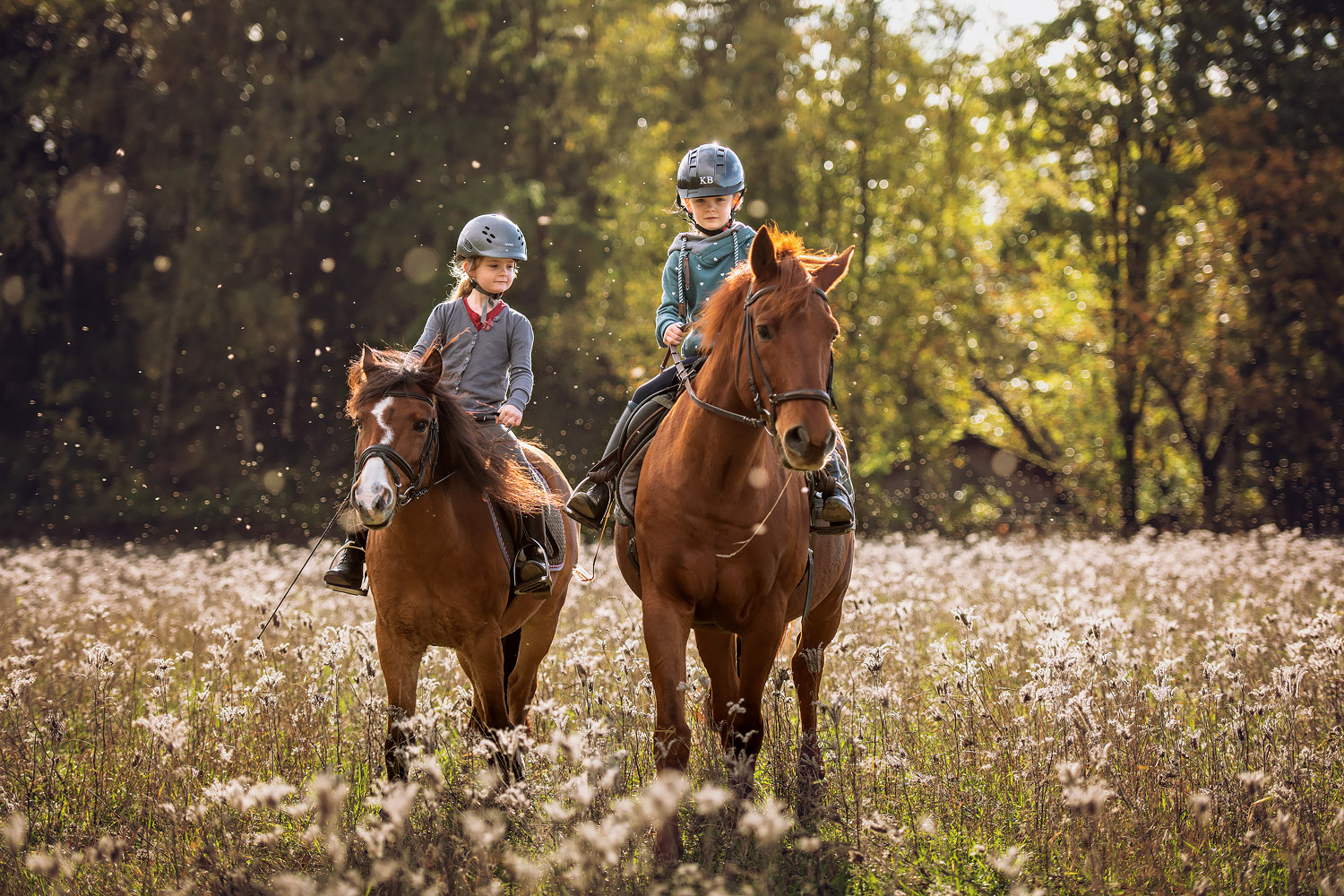 Braunschweig Kinderfotografie Pferdefotografie Reiten Ausritt Wald Pony Zwillinge Reitschule Gut Warxbuettel